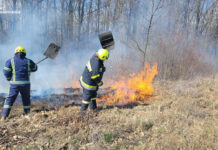 На Вінниччині пожежі знищили 34 гектари сухостою