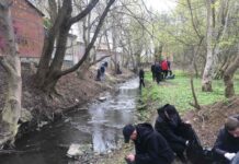 Вінничан запрошуютть приєднатися до весняної толоки