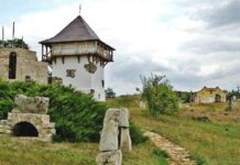 Держекоінспекція прокоментувала будівництво кар’єра в Буші