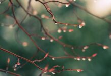 Сьогодні у Вінниці хмарна погода