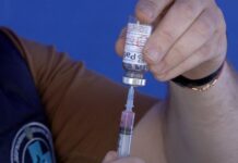 У Вінниці триває вакцинація домашніх тварин від сказу