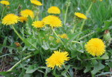 Сьогодні у Вінниці ясна погода погода у Вінниці