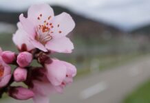 Сьогодні у Вінниці ясна й тепла погода