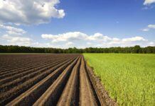 На Вінниччині у власність громади повернули 108 га землі