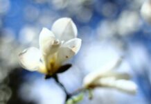 Прогноз погоди у Вінниці 4 квітня