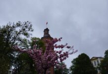 У Вінниці сьогодні похмура погода