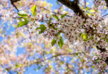 У Вінниці сьогодні ясна погода