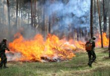 На Вінниччині спостерігається надзвичайний рівень пожежної небезпеки