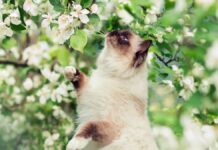 У Вінниці сьогодні буде ясна погода