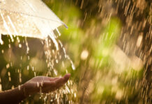 Сьогодні у Вінниці можливий дощ з грозою