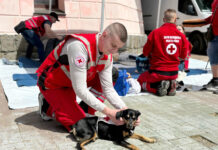 В середмісті Вінниці відбулась презентація програм Вінницького представництва Червоного Хреста України