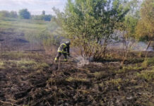 На Вінниччині за добу рятувальники ліквідували сім пожеж в екосистемах