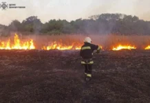 За минулу добу вогнеборці ліквідували 12 пожеж в екосистемах