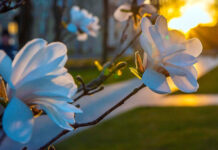 Прогноз погоди у Вінниці на 14 травня