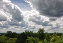 Погода у Вінниці 12 травня