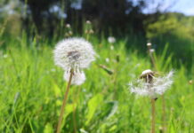 У Вінниці сьогодні похмура погода хмарна погода