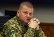 Зеленський звільнив Залужного з військової служби