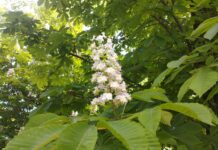 Сьогодні у Вінниці ясна погода