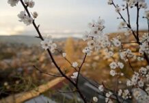 Сьогодні у Вінниці похмуро