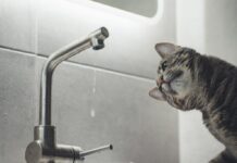 Завтра частина Вінниці сидітиме без води. Перелік адрес