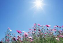 Прогноз погоди у Вінниці 20 червня