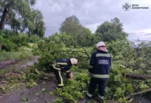 Наслідки негоди: 273 населені пункти без світла в Україні