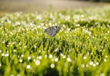 Прогноз погоди у Вінниці на 2 червня