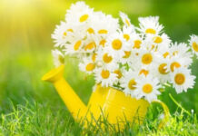 Прогноз погоди у Вінниці на 4 червня