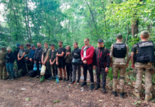У лісі на Вінниччині затримали 13 утікачів за кордон