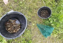 Наловив раків на 94 тисячі: на Вінниччині затримали браконьєра