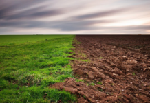 Суд зобов’язав повернути державі землі оборони вартістю 28 млн грн