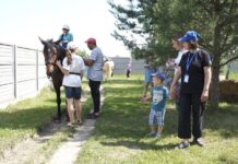 Як кінні прогулянки у Вінниці стають засобом реабілітації для ветеранів