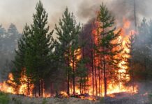 Синоптики Вінниччини попереджають про надзвичайну пожежну небезпеку на