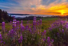 Прогноз погоди у Вінниці 19 червня