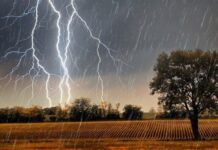 Укргідрометцентр попередив про жовтий рівень небезпеки на 5 червня