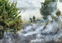 За минулу добу вогнеборці Вінниччини ліквідували 4 пожежі в екосистемах