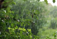 Сьогодні у Вінниці очікується дощ