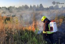 Рятувальники ліквідували 10 пожеж на Вінниччині