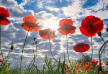 Прогноз погоди у Вінниці на сьогодні