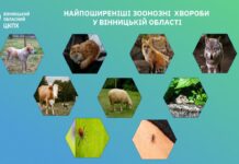 Сказ, лептоспіроз, хвороба Лайма – найпоширеніші зоонозні хвороби на Вінниччині