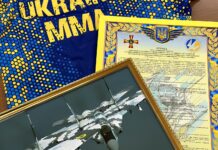 Спільні ініціативи: Вінницька федерація MMA і військові розпочинають новий проєкт