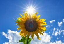 Прогноз погоди у Вінниці 7 липня