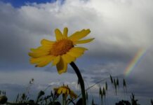 Прогноз погоди у Вінниці на 23 липня