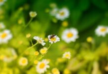 Якою буде погода у Вінниці 28 липня