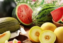 Вінницьким підприємствам, що вирощують овочі та кавуни, доплатять з бюджету