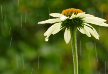 На Вінниччині оголошено штормове попередження