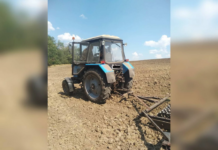 Землі «Кармелюкового Поділля» незаконно засіяли сільгоспкультурами