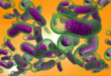 Як запобігти захворюванню на холеру