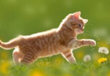 Сьогодні у Вінниці тепла та ясна погода