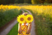 Сьогодні у Вінниці ясна погода